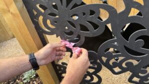 A photo of someone wrapping a pink ribbon around the butterfly statue
